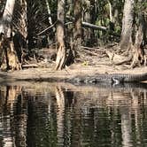 Review photo of Fisheating Creek Campground by Dave V., January 25, 2018