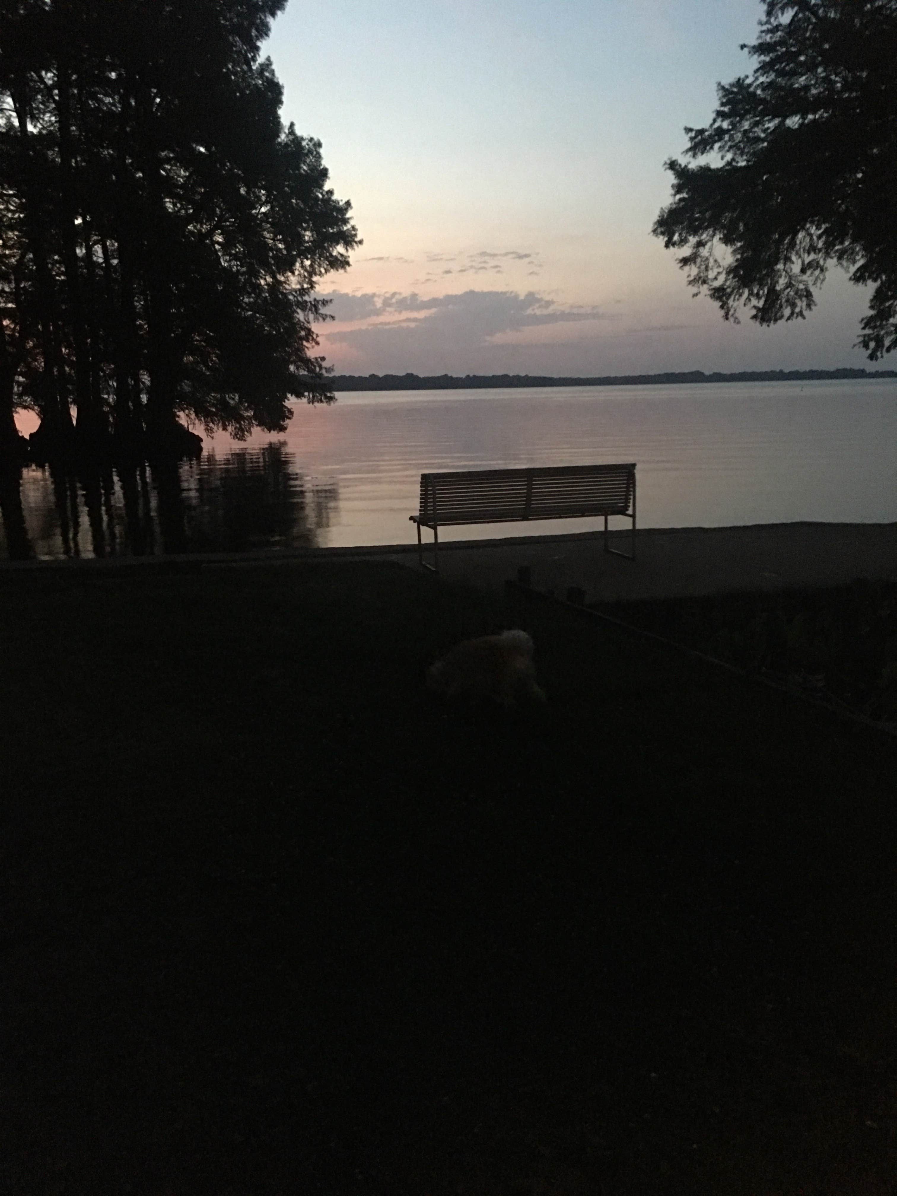 Camper-submitted photo at Reelfoot Lake State Park Campgrounds near Troy, TN