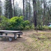 Review photo of Kettle Falls Campground — Lake Roosevelt National Recreation Area by Cassandra C., July 12, 2020