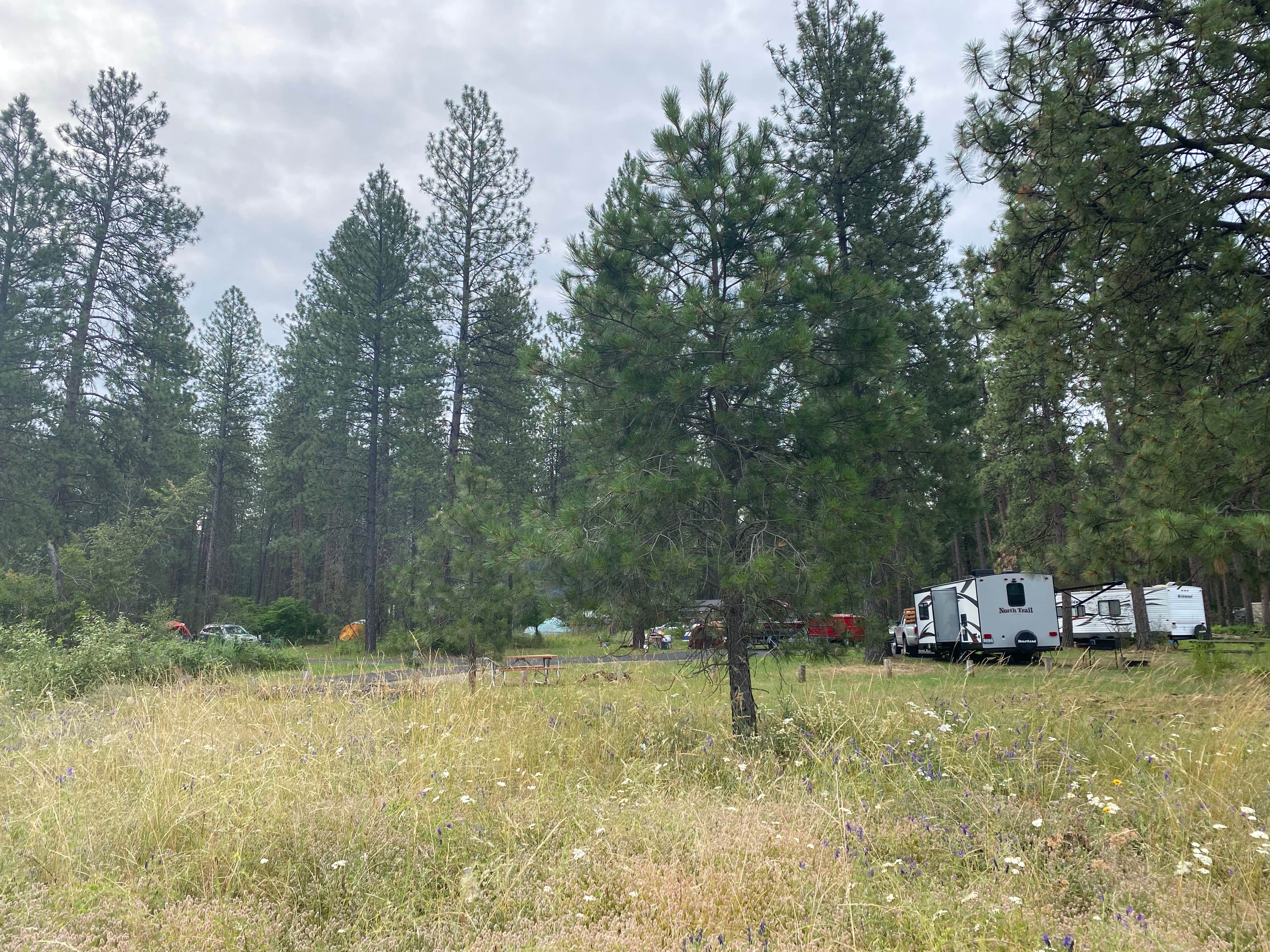 Cassandra C.'s photo of rv camping at Kettle Falls Campground — Lake Roosevelt National Recreation Area near Republic, WA