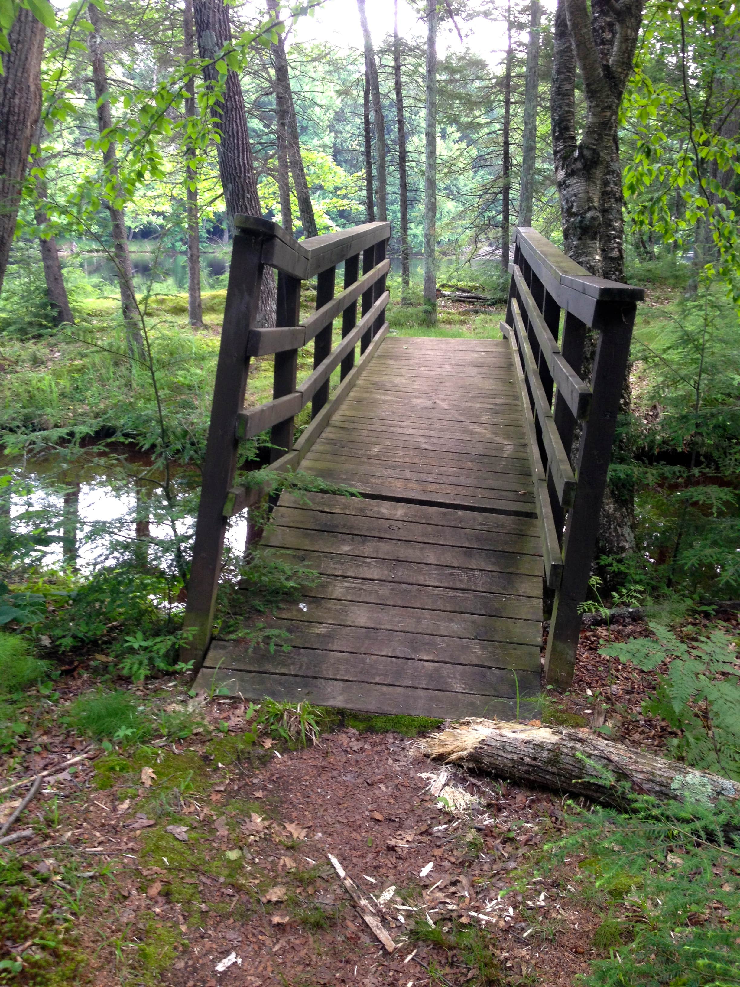 Camper submitted image from Brunet Island State Park Campground - 2