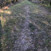 Review photo of Fisheating Creek Campground by Dave V., January 25, 2018