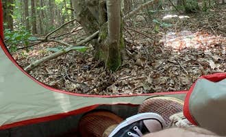 Camping near West Morris Mtn.: Uwharrie National Forest Yates Place, Uwharrie National Forest, North Carolina