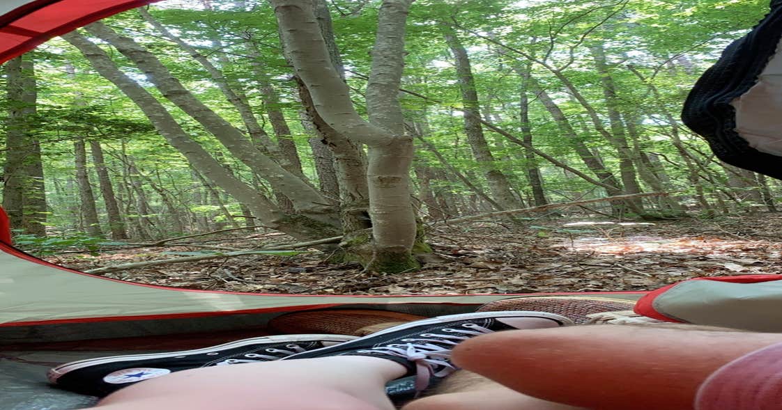 Uwharrie National Forest Yates Place