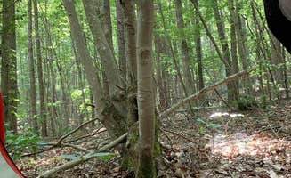 Gracie G.'s photo at Uwharrie National Forest Yates Place near Uwharrie National Forest