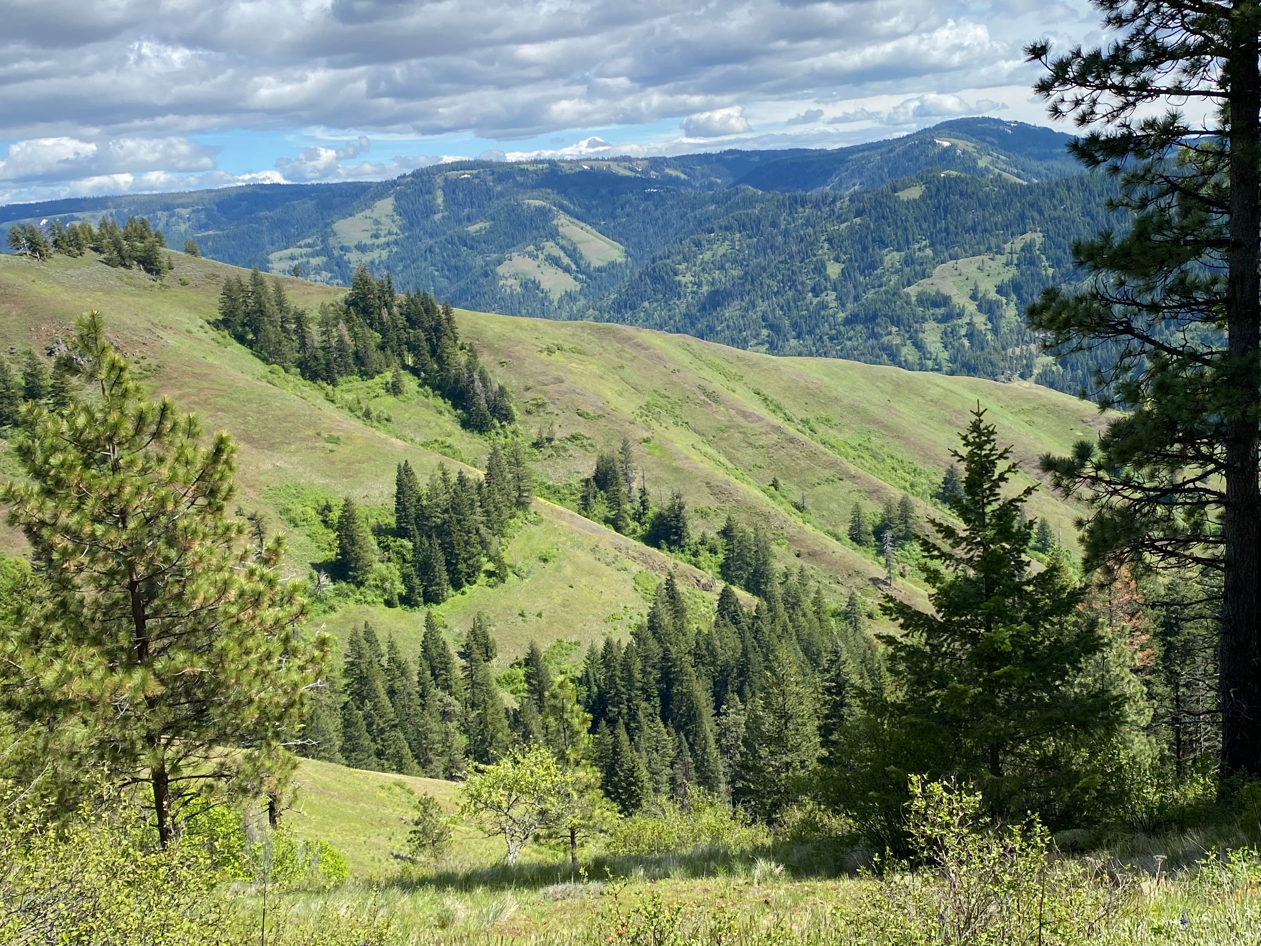 McDougall Dispersed Camping