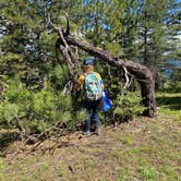 Review photo of McDougall Dispersed Camping by Brandon K., July 13, 2020