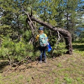 Review photo of McDougall Dispersed Camping by Brandon K., July 13, 2020