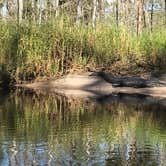 Review photo of Fisheating Creek Campground by Dave V., January 25, 2018