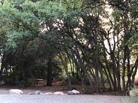 Camper submitted image from Starr Spring Campground - 4