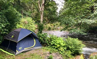 Lillie P.'s photo at Lyre River Campground near Joyce, WA