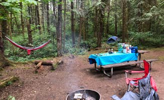 Lillie P.'s photo at Lewis & Clark State Park Campground near Toutle, WA
