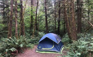 Lillie P.'s photo at Lewis & Clark State Park Campground near Centralia, WA