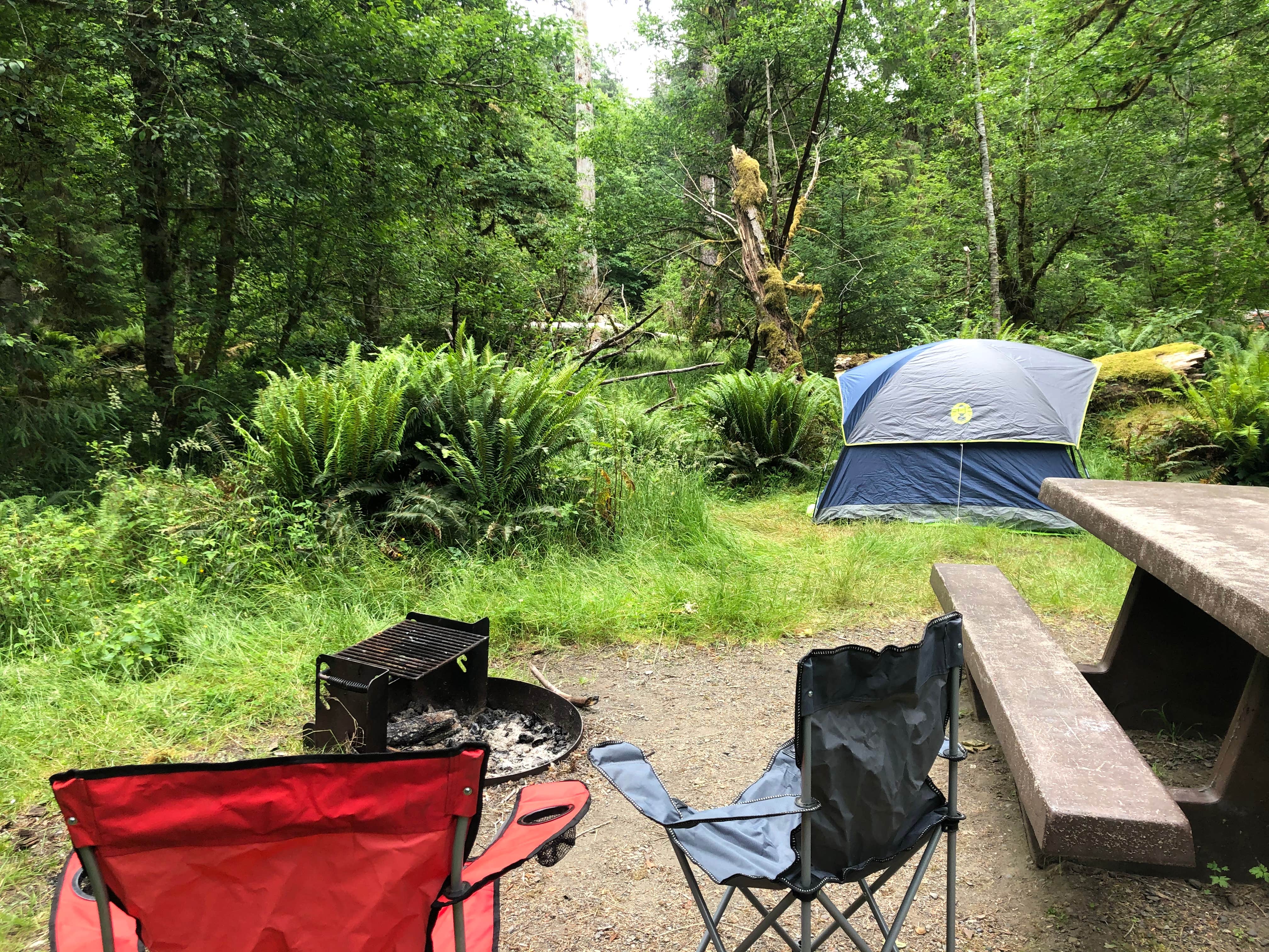 Lillie P.'s photo at Hoh Campground — Olympic National Park near Olympic National Park