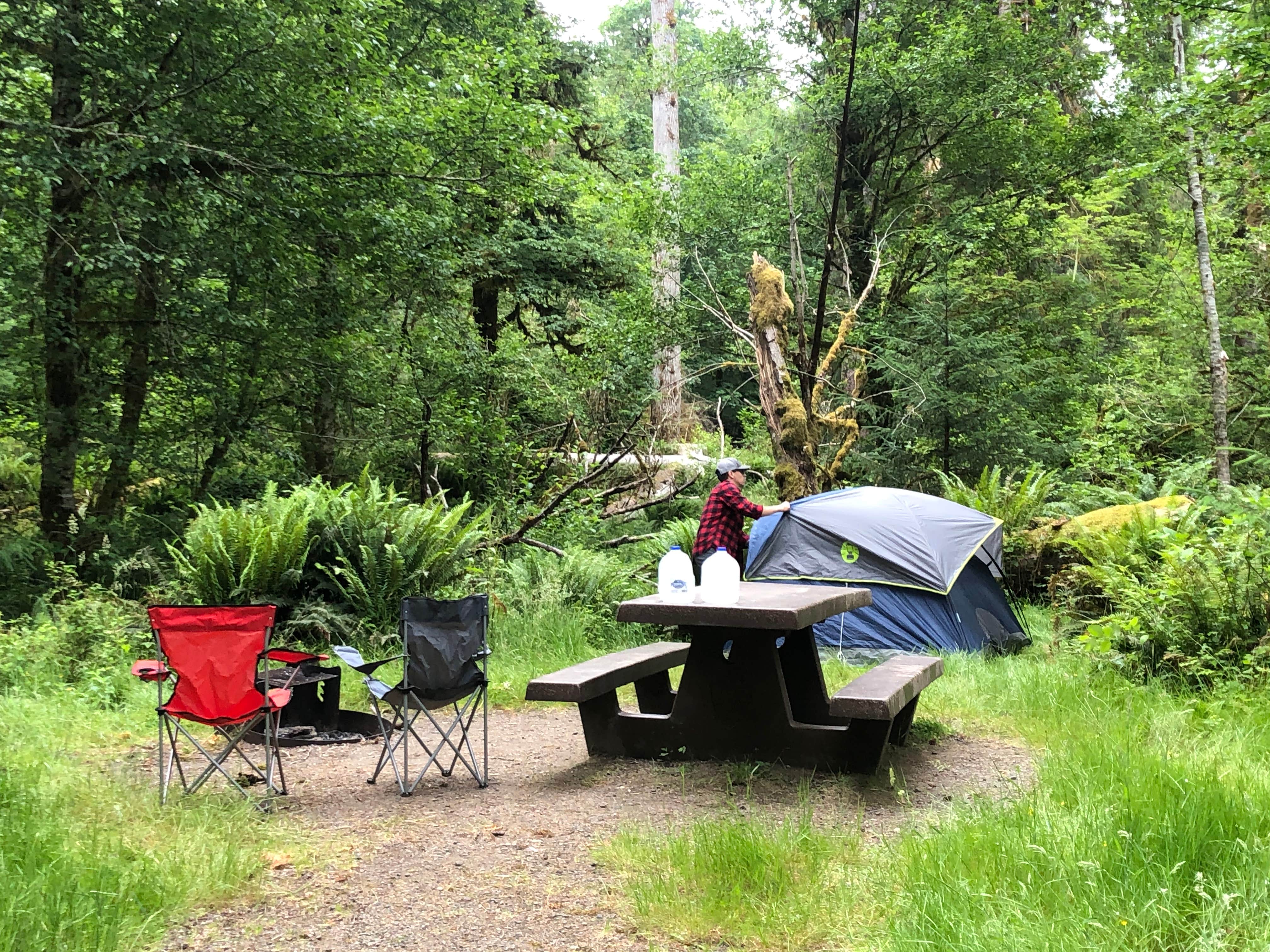 Lillie P.'s photo at Hoh Campground — Olympic National Park near Sol Duc Hot Springs, WA