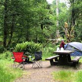 Review photo of Hoh Campground by Lillie P., July 13, 2020