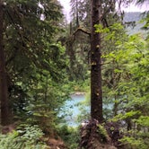 Review photo of Hoh Campground - Olympic National Park by Lillie P., July 13, 2020