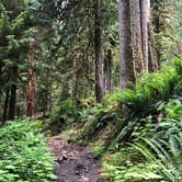 Review photo of Hoh Campground — Olympic National Park by Lillie P., July 13, 2020