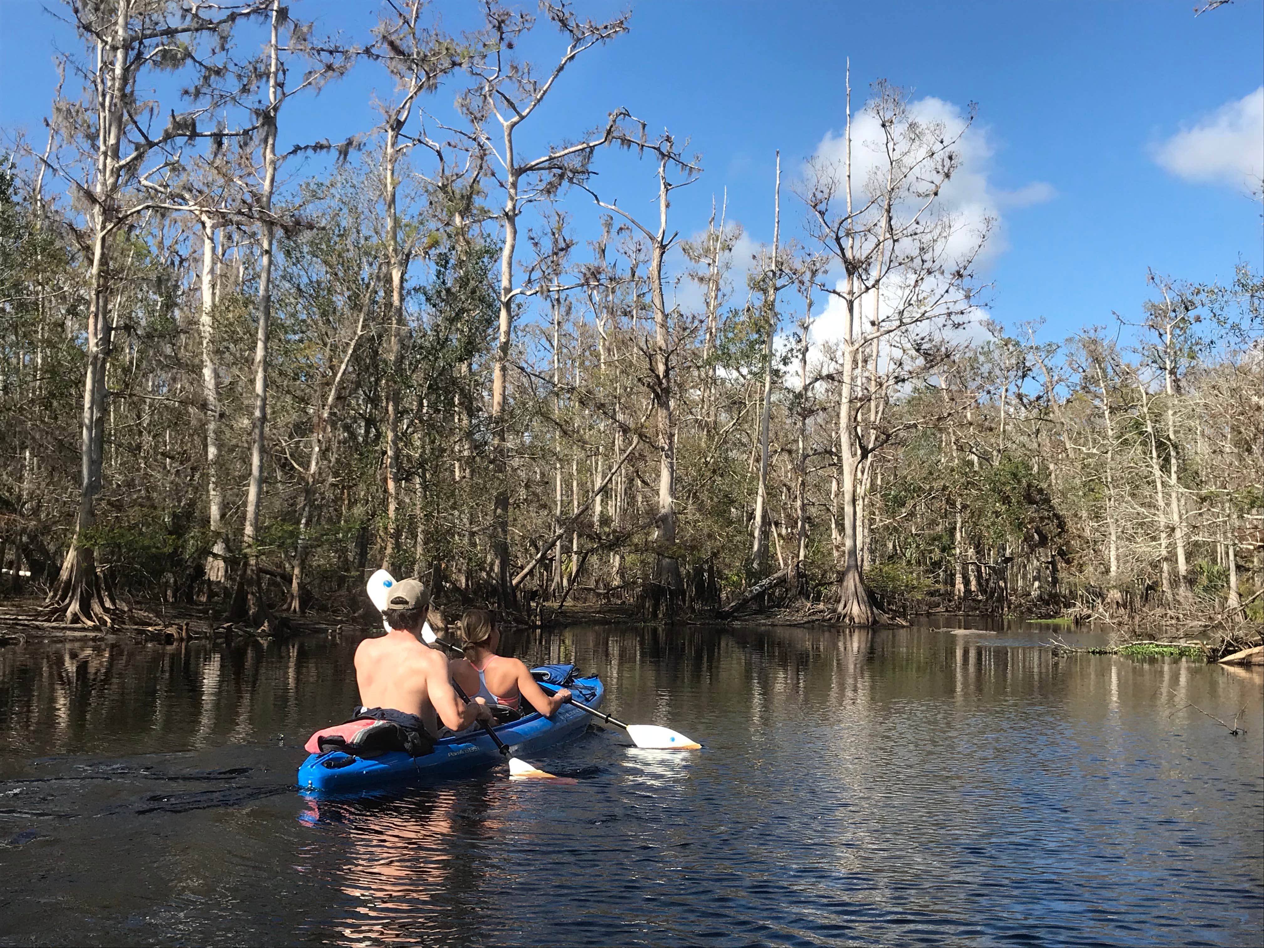 Camper submitted image from Fisheating Creek Campground - 4