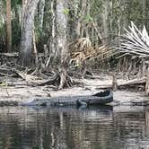 Review photo of Fisheating Creek Campground by Dave V., January 25, 2018