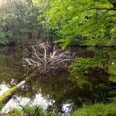 Review photo of Brunet Island State Park Campground by Kevin M., July 3, 2016