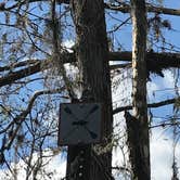 Review photo of Fisheating Creek Campground by Dave V., January 25, 2018