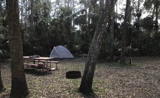 Dave V.'s photo at Fisheating Creek Campground near LaBelle, FL
