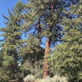 Review photo of Chuchupate Campground by Jessica P., May 8, 2020