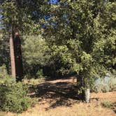 Review photo of Chuchupate Campground by Jessica P., May 8, 2020