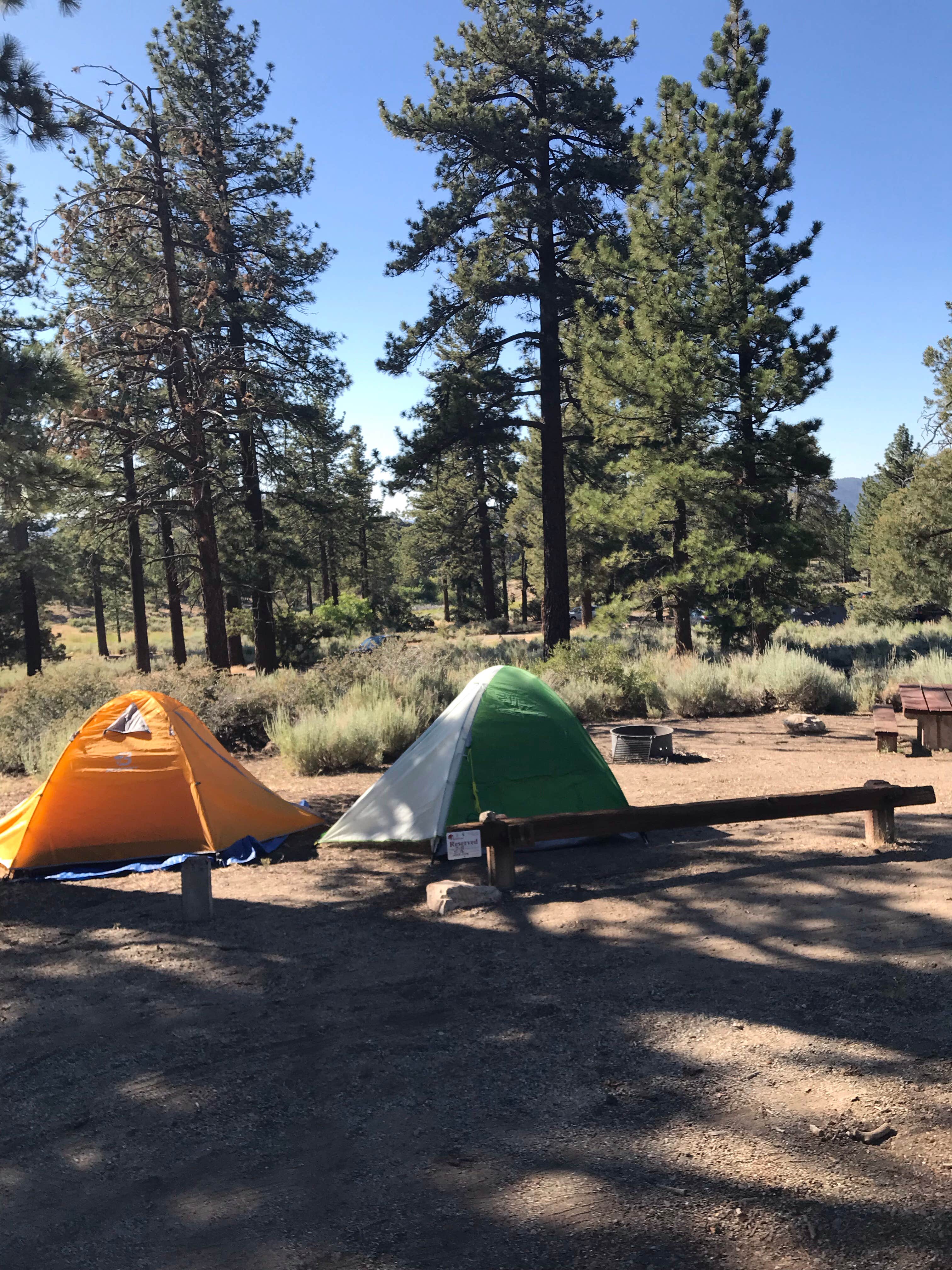 Jessica P.'s photo at Chuchupate Campground near Frazier Park, CA