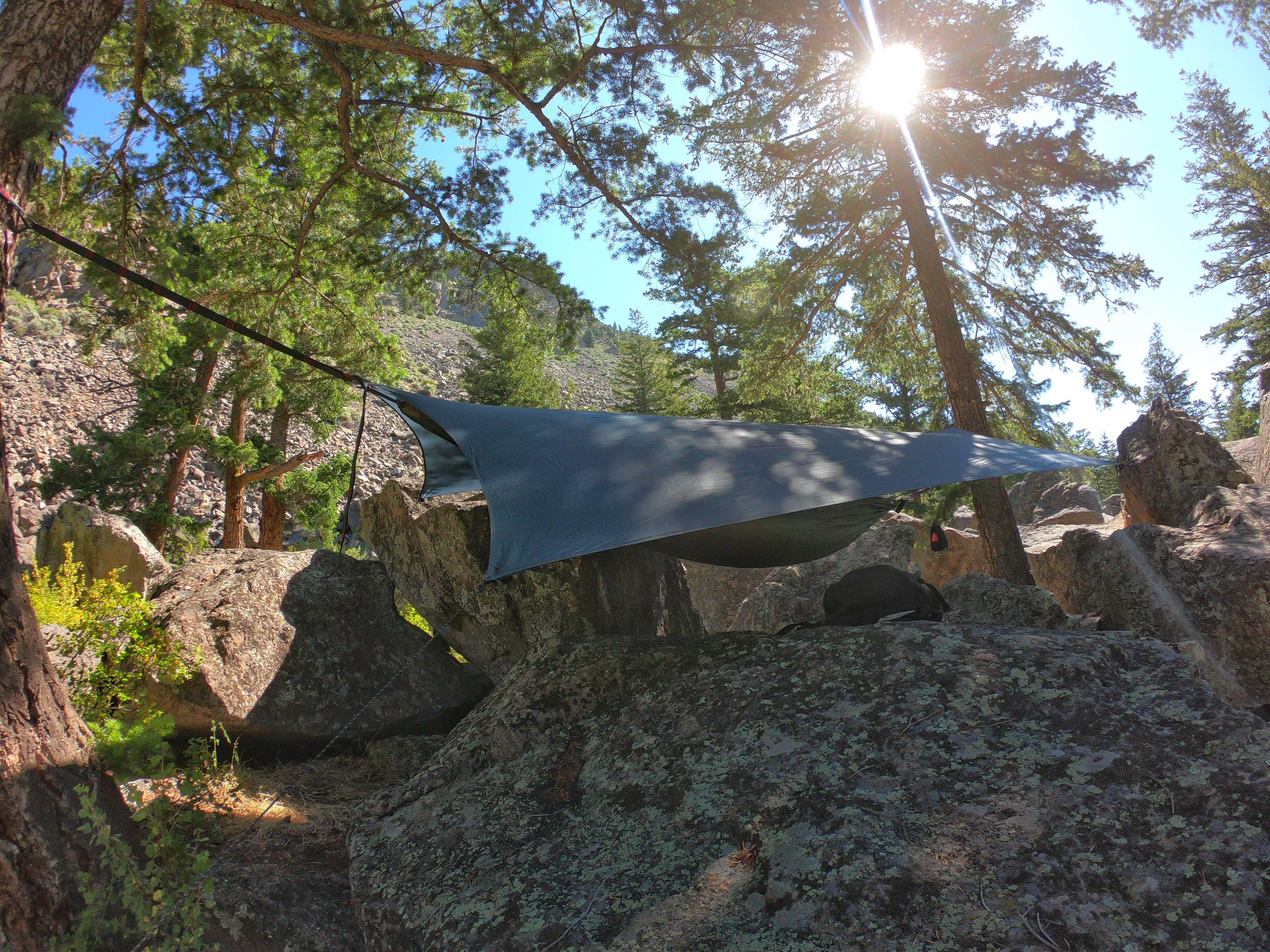 Nick T.'s photo at Canyon Campground near Custer Gallatin National Forest