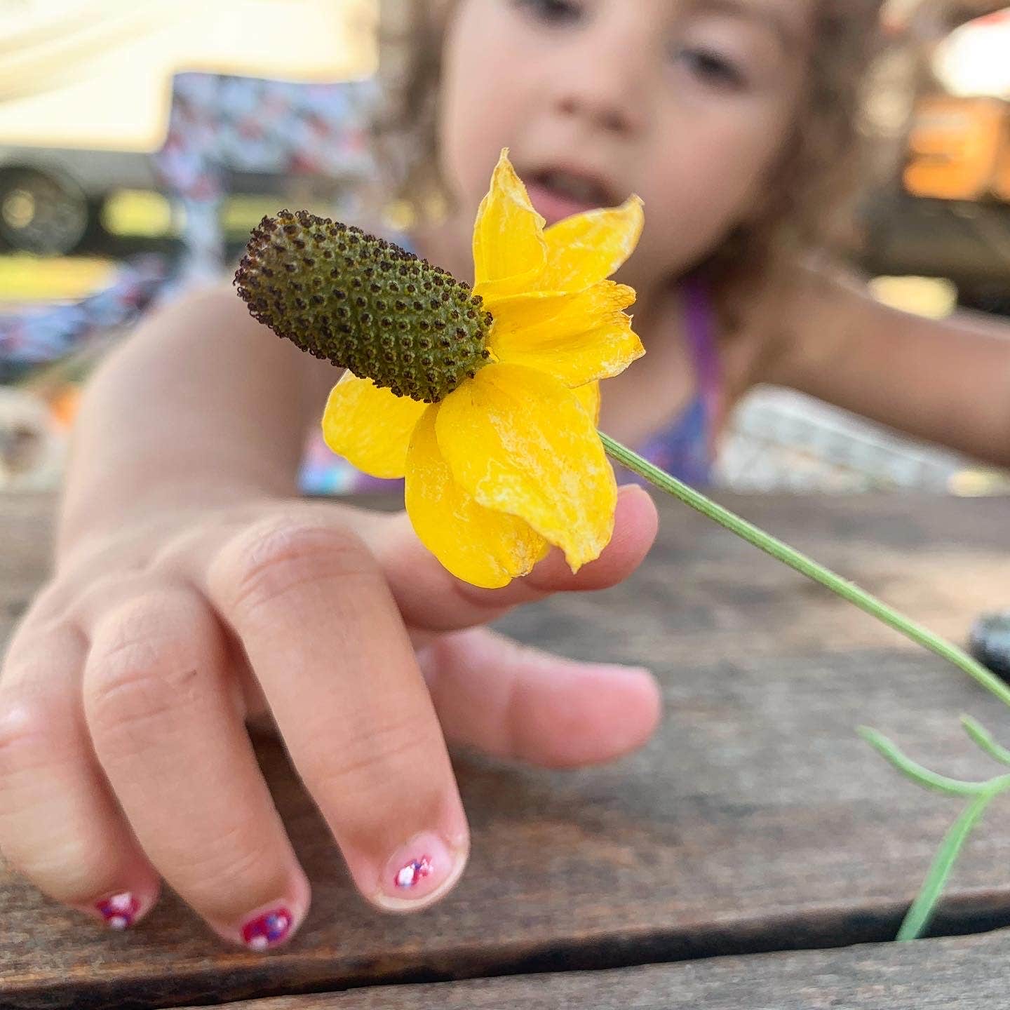 Camper-submitted photo at Fishberry Campground near Valentine, NE