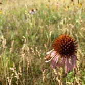 Review photo of Fishberry Campground by Melissa V., July 13, 2020