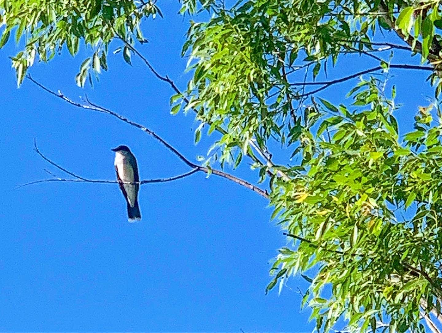 Camper-submitted photo at Fishberry Campground near Valentine, NE