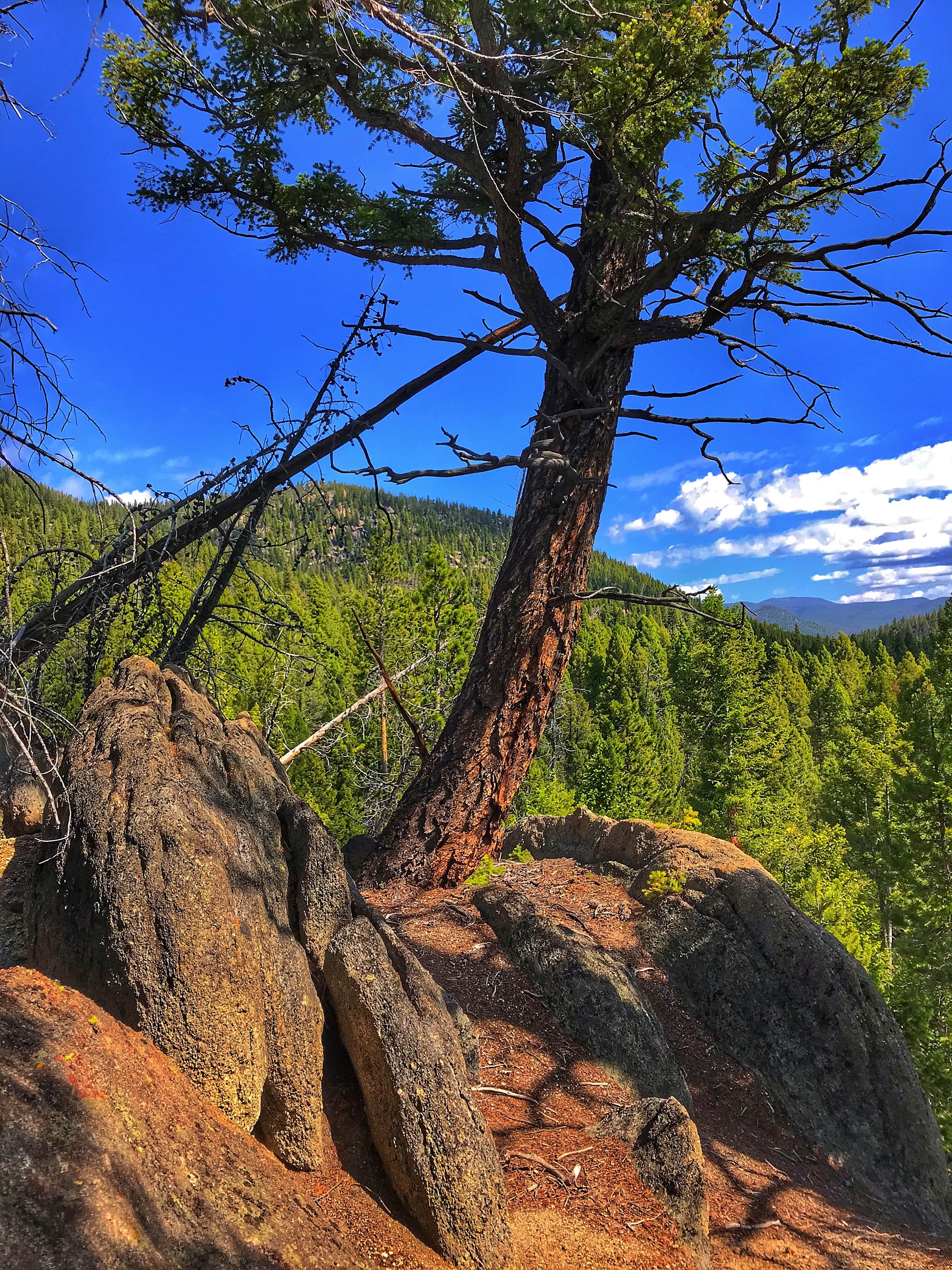 Camper-submitted photo at Pipestone OHV Recreation Area near Butte, MT