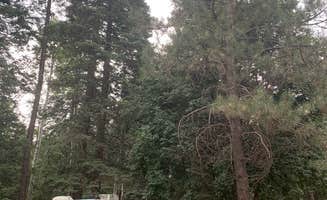 Adam S.'s photo of rv camping at Bear Canyon Lake and Camping Area near Forest Lakes, AZ