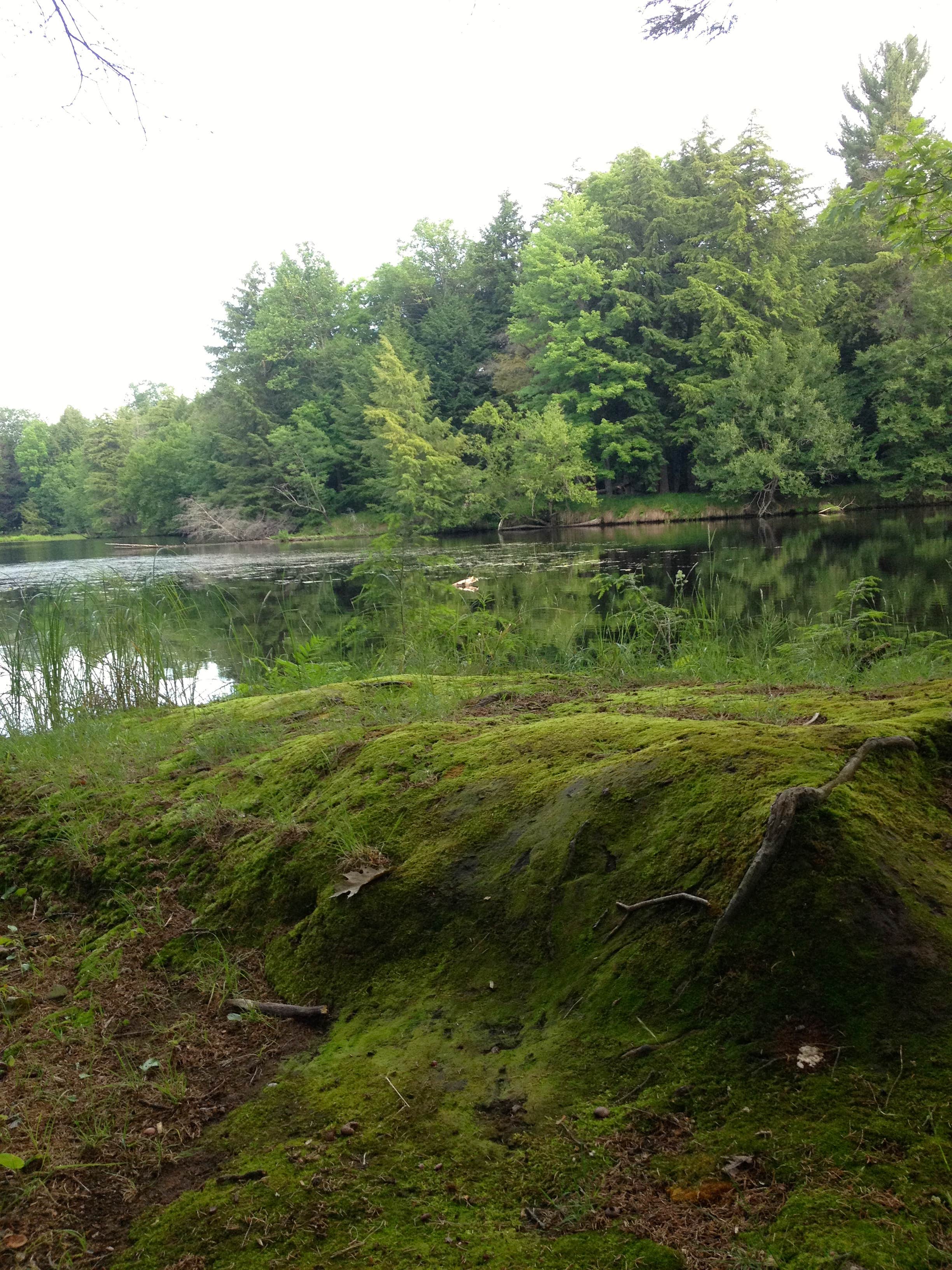 Camper submitted image from Brunet Island State Park Campground - 1