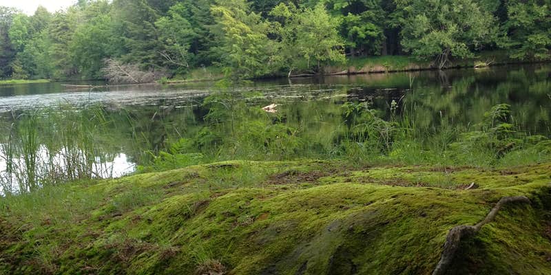 Camper submitted image from Brunet Island State Park Campground