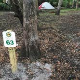 Review photo of Fisheating Creek Campground by Dave V., January 25, 2018
