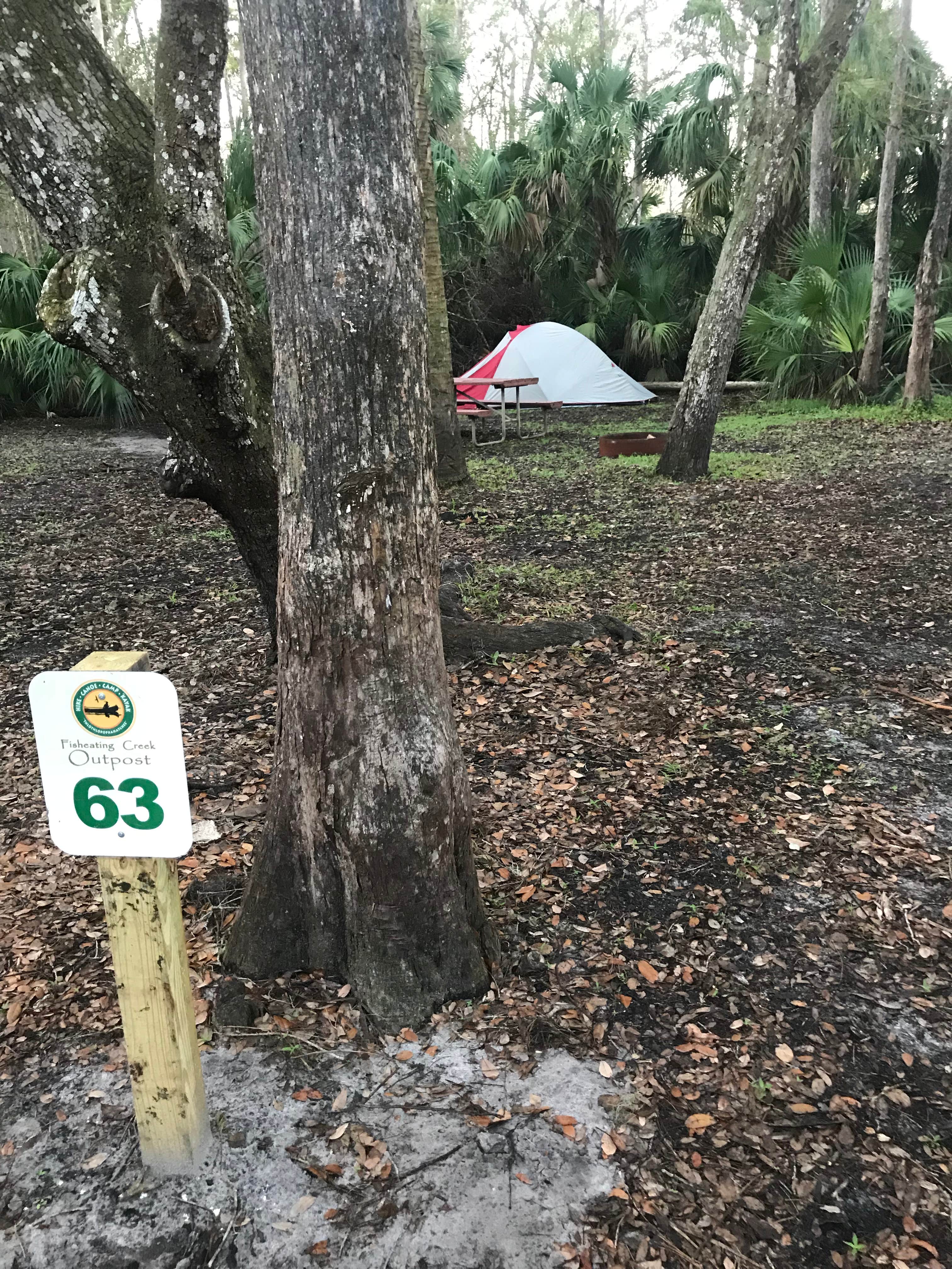 Camper submitted image from Fisheating Creek Campground - 5