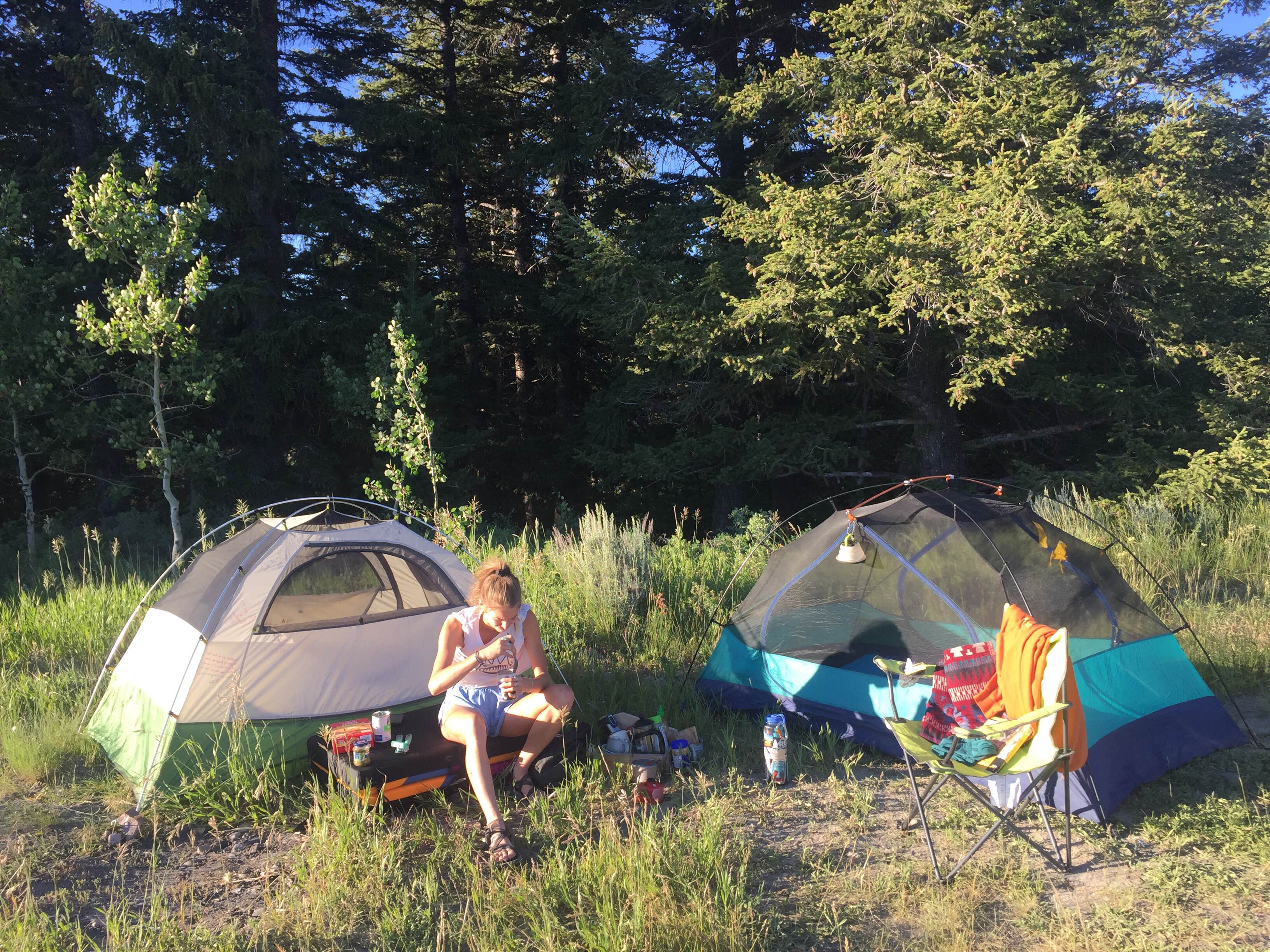 Ruby W.'s photo of a dispersed camping area at Shadow Mountain Dispersed Camping near Victor, ID