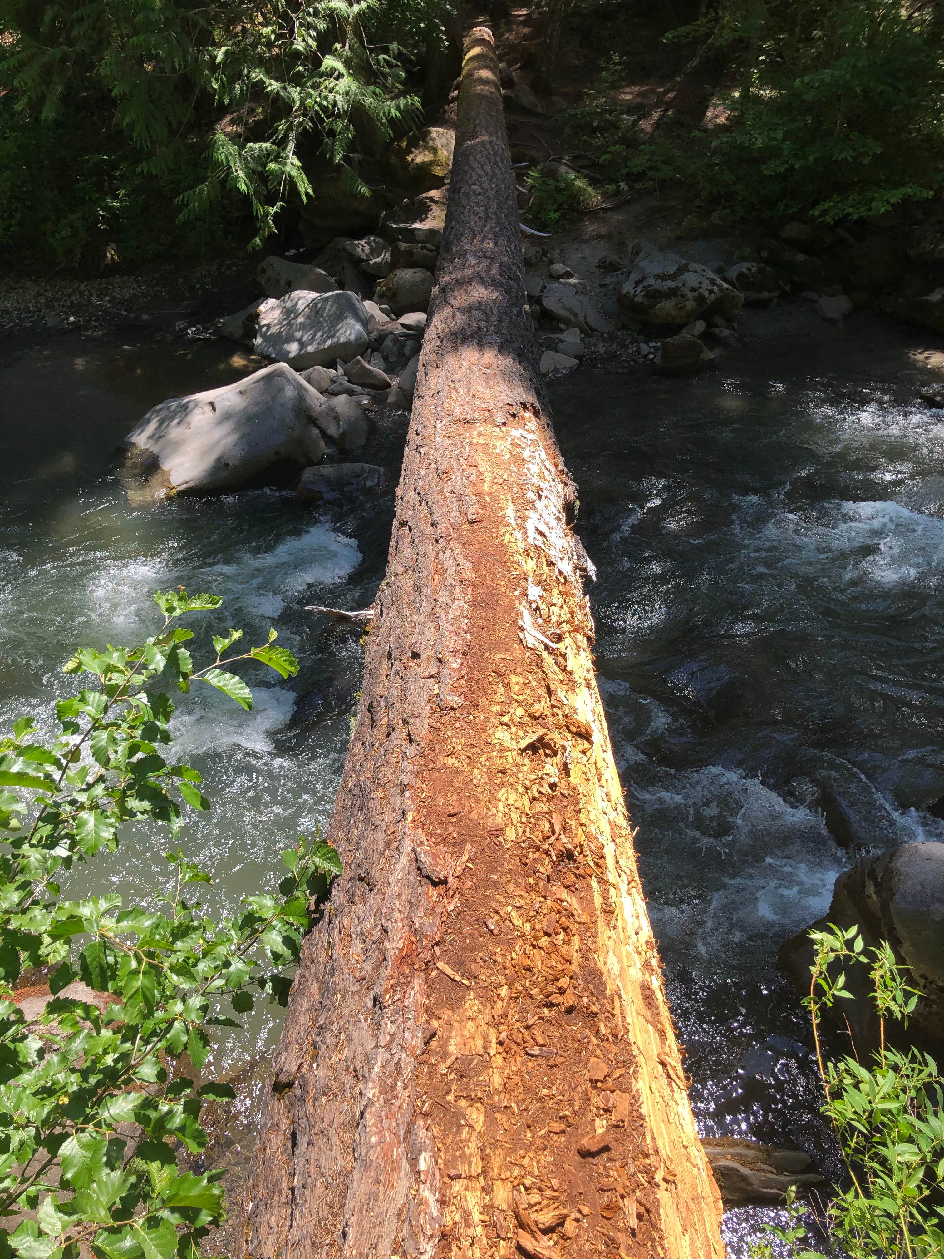 Nature