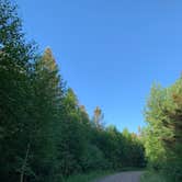 Review photo of Sullivan Lake Campground by Scott M., July 13, 2020