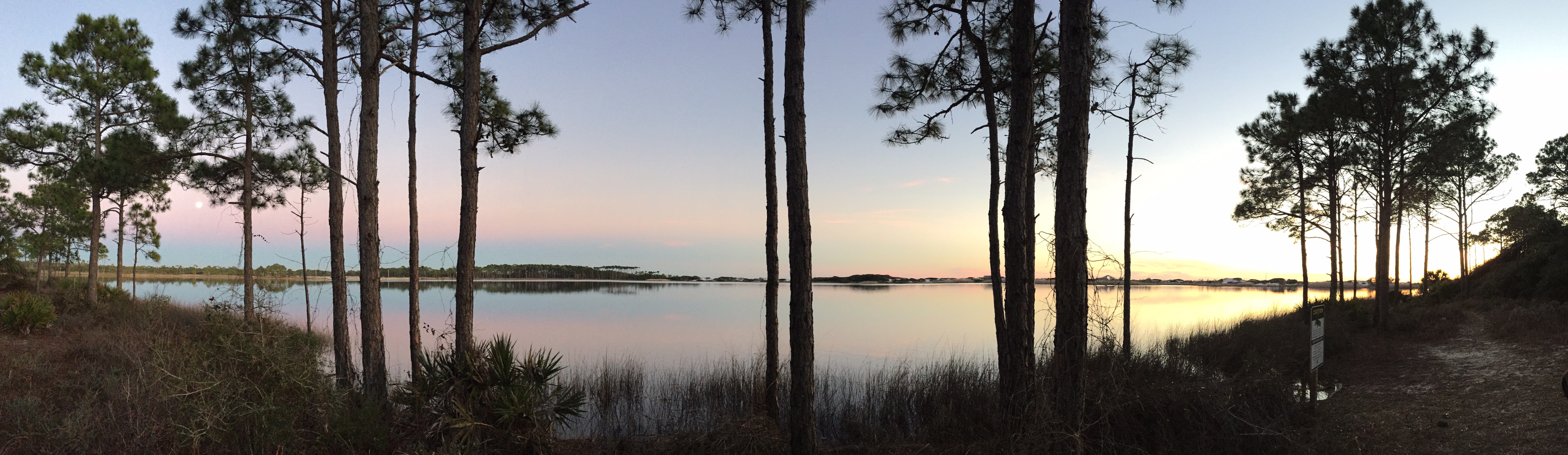 Camper submitted image from Grayton Beach State Park Campground - 1