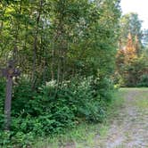 Review photo of Sullivan Lake Campground by Scott M., July 13, 2020