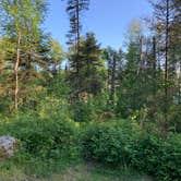 Review photo of Sullivan Lake Campground by Scott M., July 13, 2020