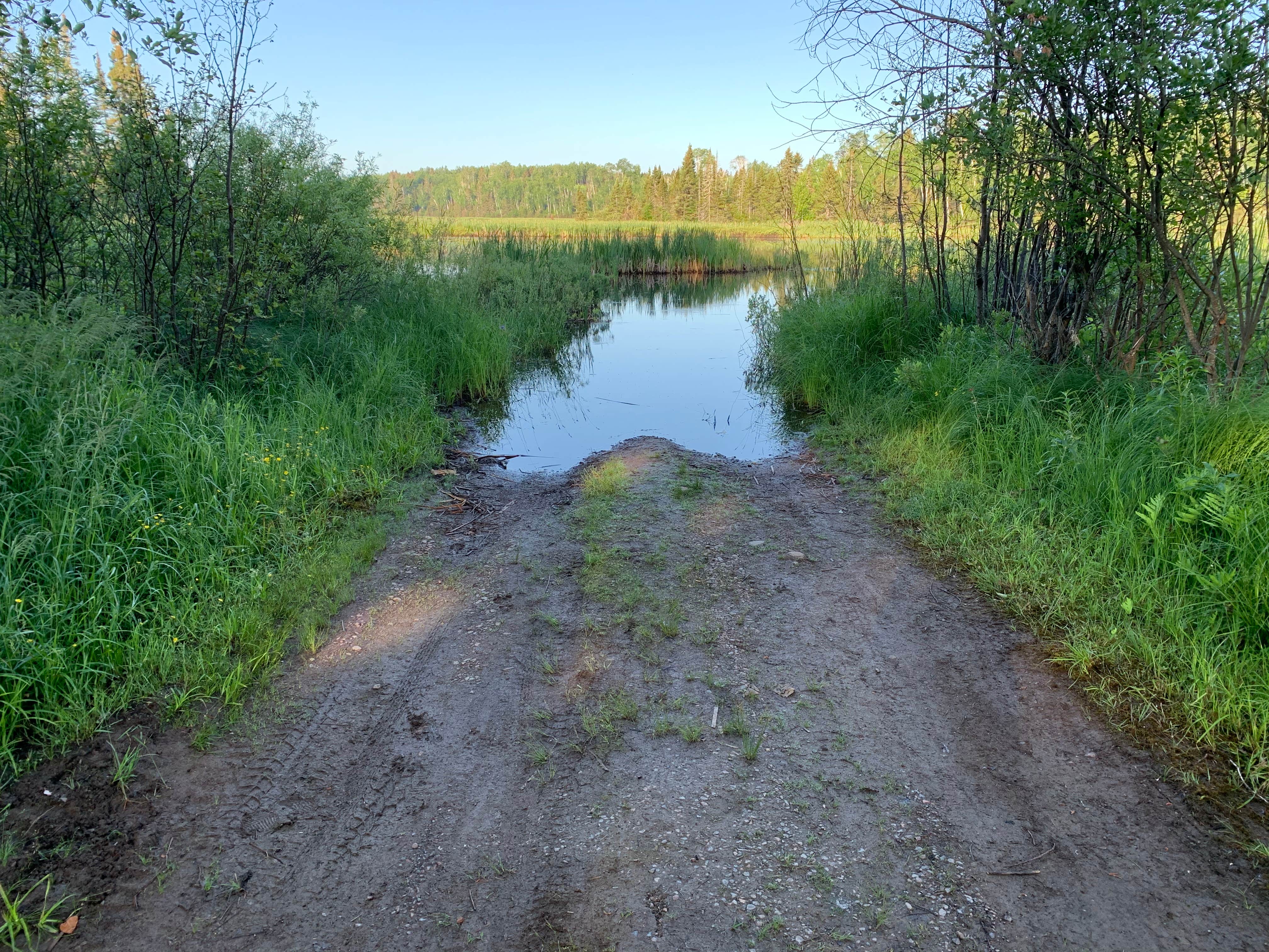 Camper submitted image from Sullivan Lake Campground - 4