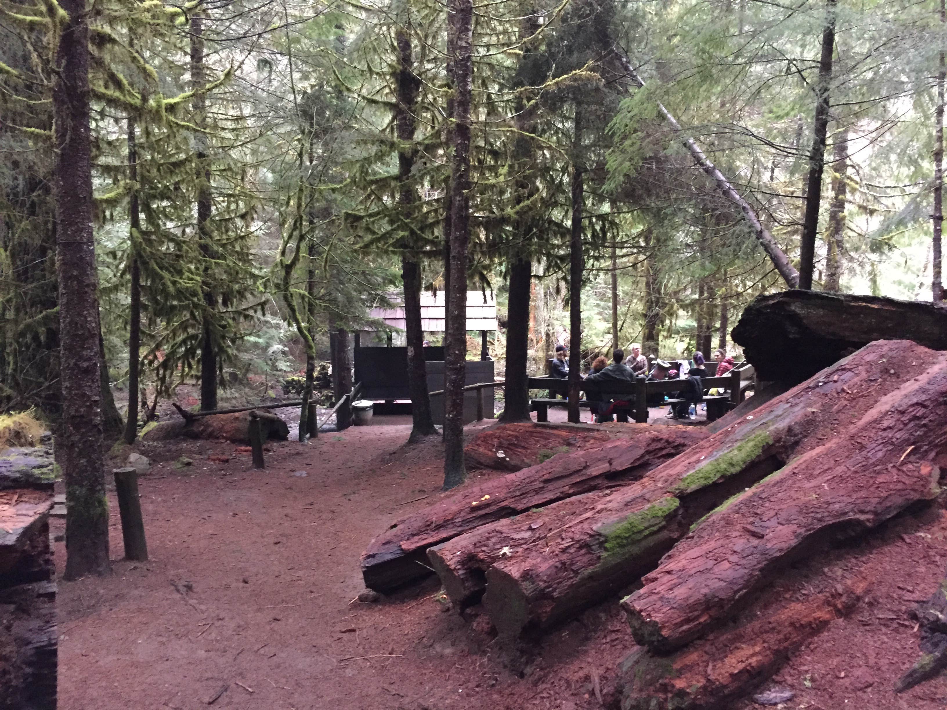 Camper submitted image from Bagby Hot Springs Campground - 2