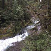 Review photo of Bagby Hot Springs Campground by Bjorn S., February 8, 2018