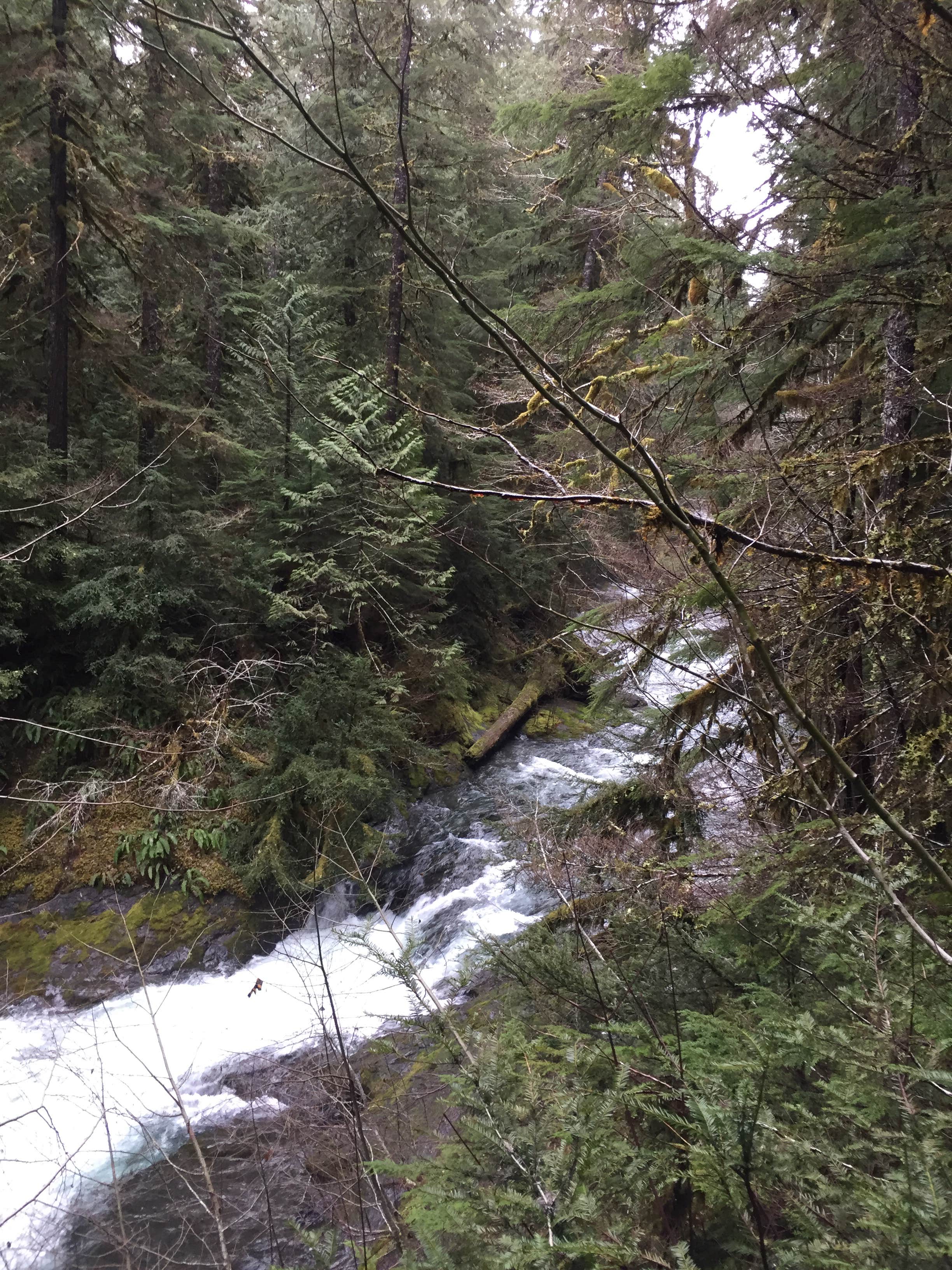 Camper submitted image from Bagby Hot Springs Campground - 4